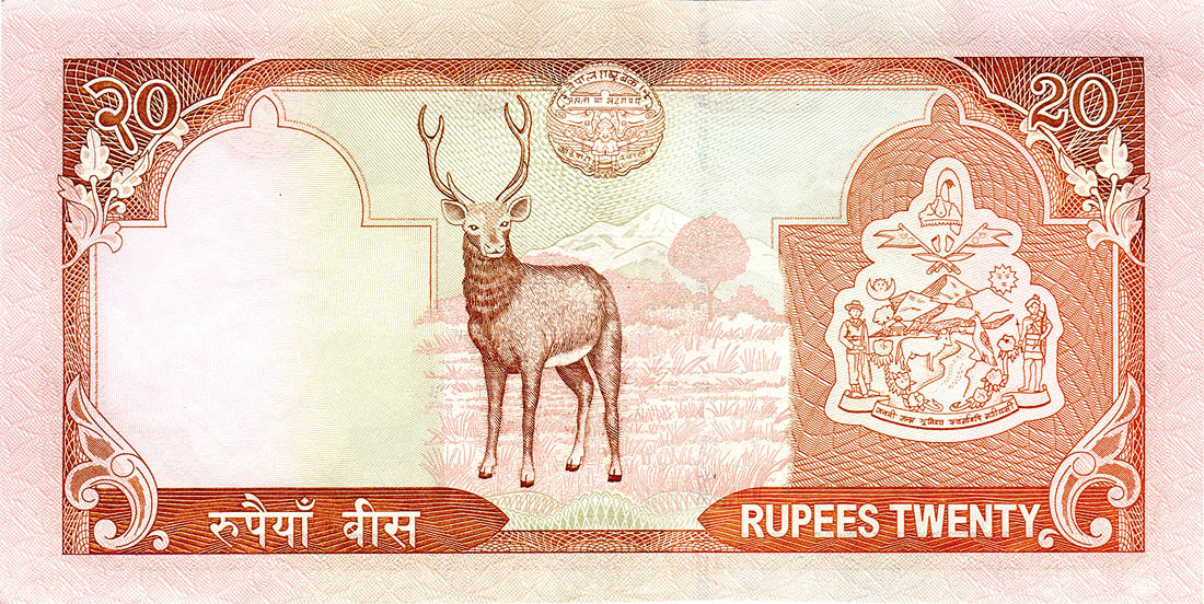 непальские рупии