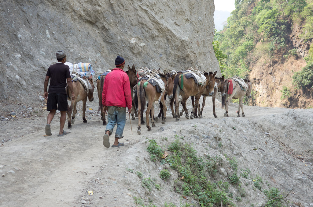непальский караван