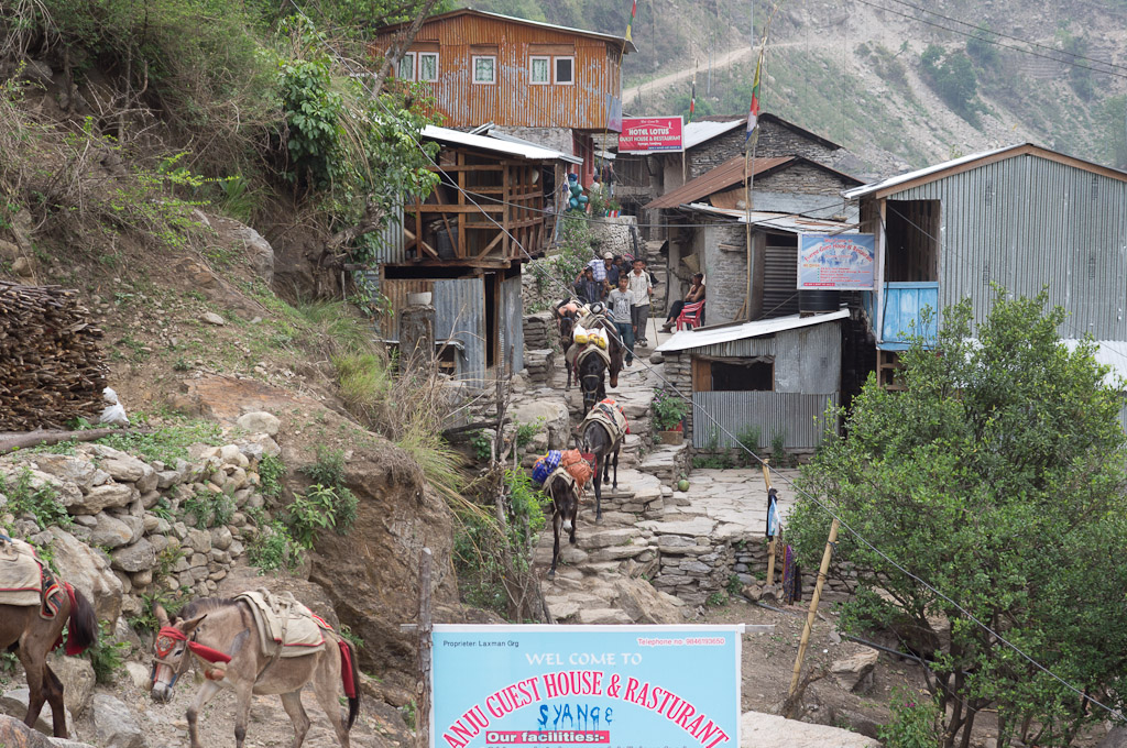 Syange караван