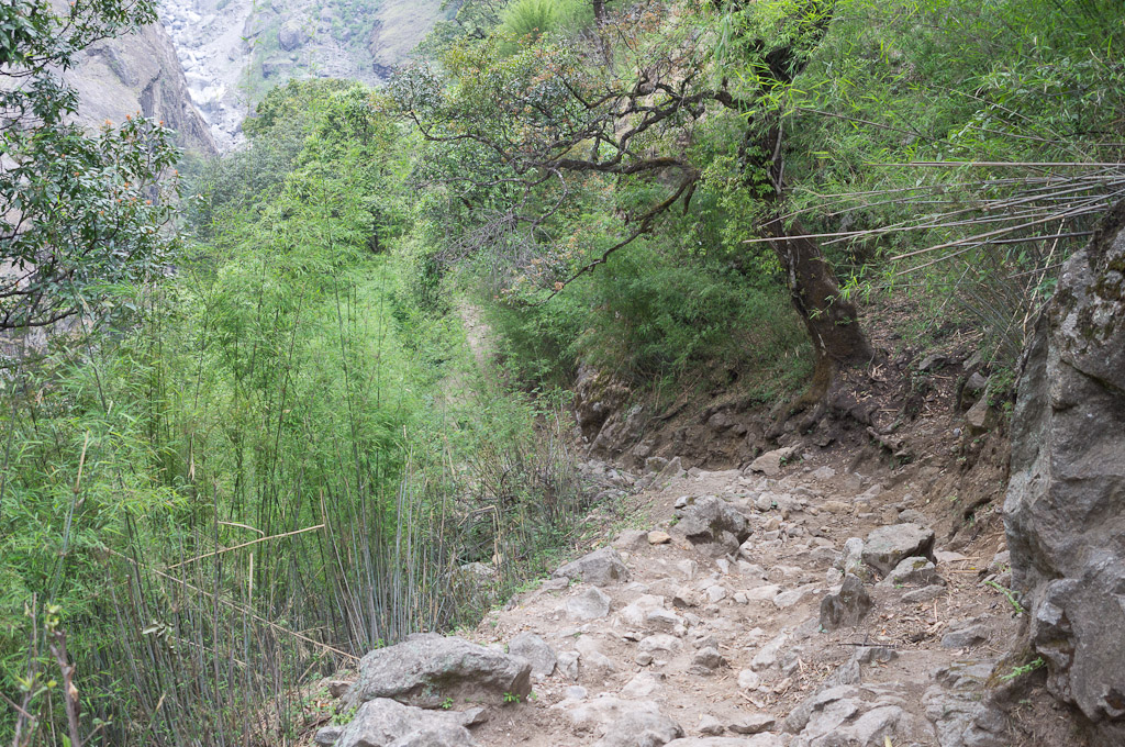 трамвайная тропа