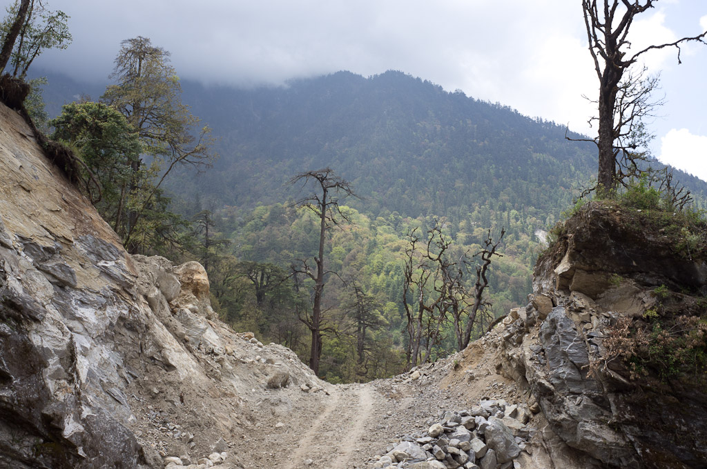 дорога в горах