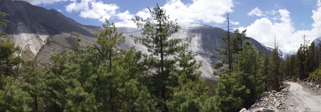 панорама лес стена скалы