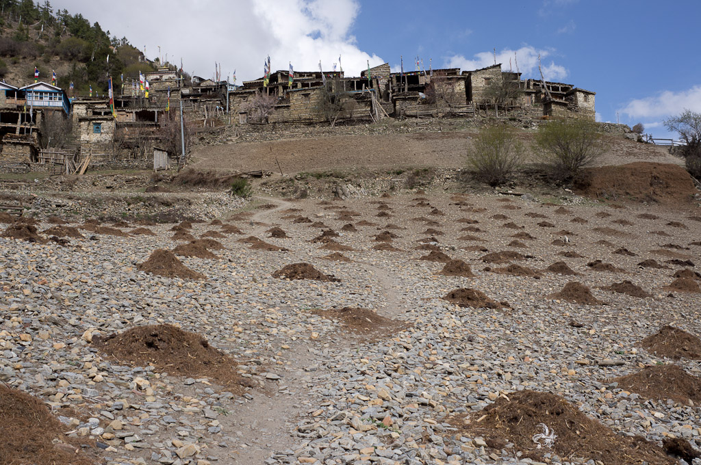 кучки деревня непал