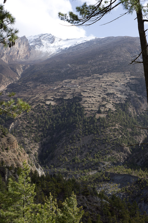 тепапвапррасы