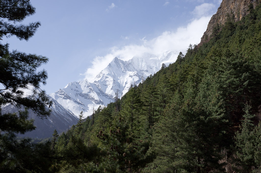 Лес на склоне, Непал