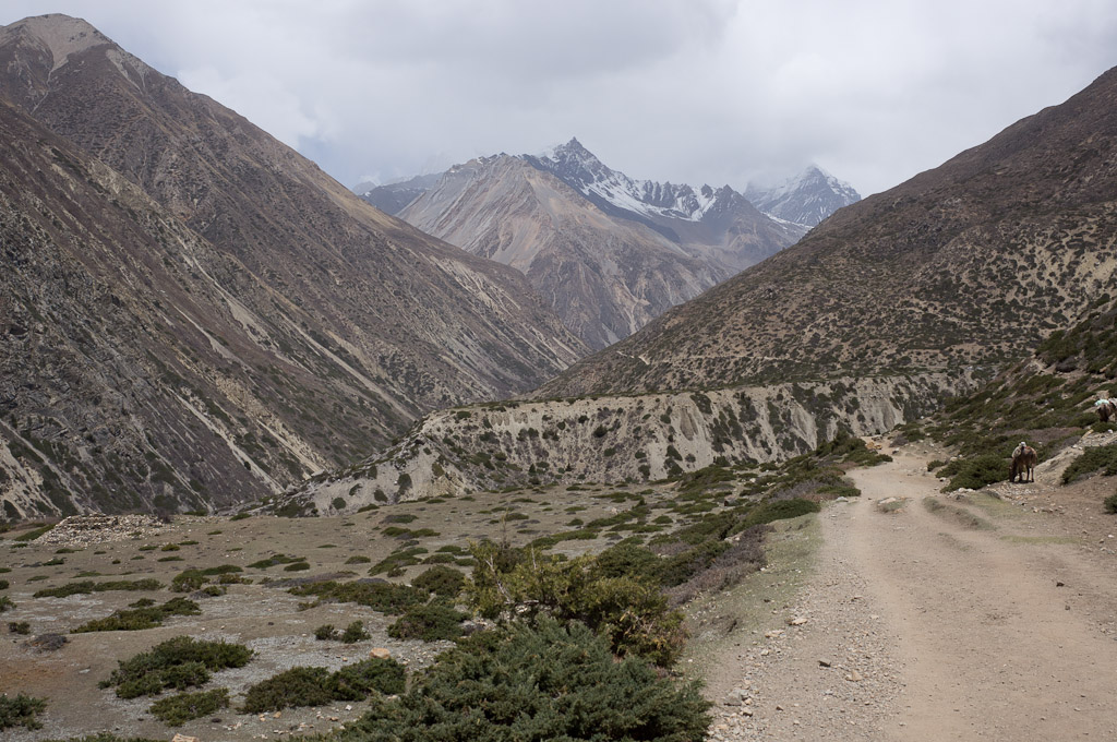 долина и дорога