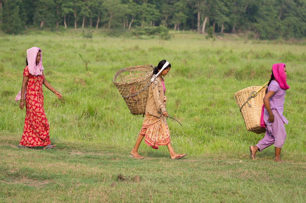девушки с пустыми корзинами