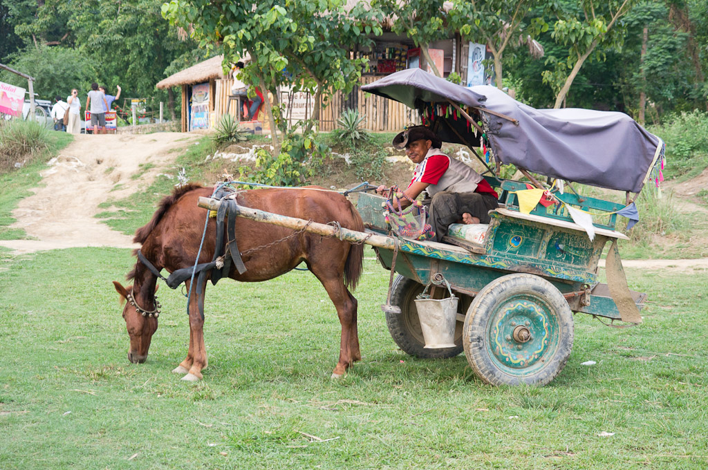 повозка с лошадью