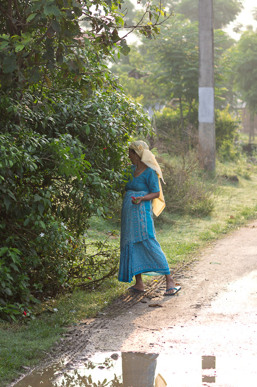 сбор урожая