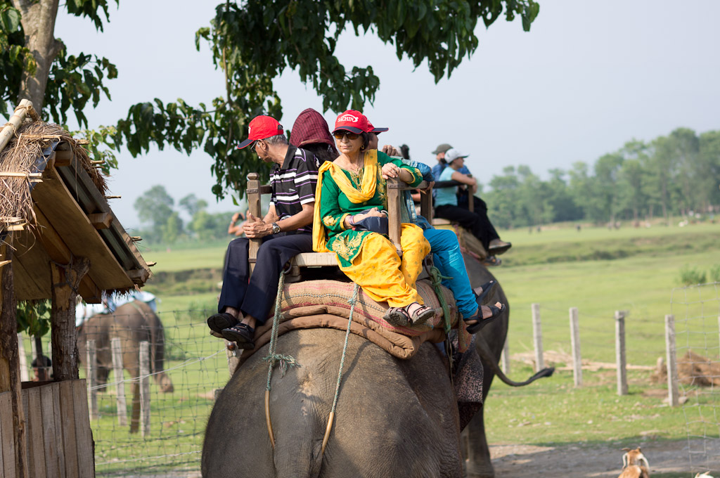 милая кататься на слоне