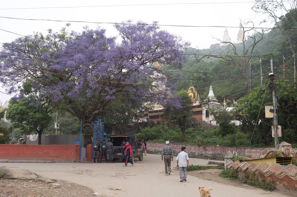 У подножия Сваямбунатх