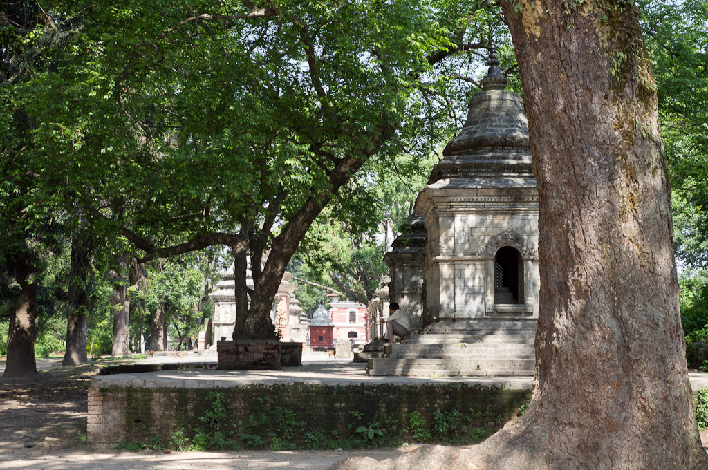 ступы в парке