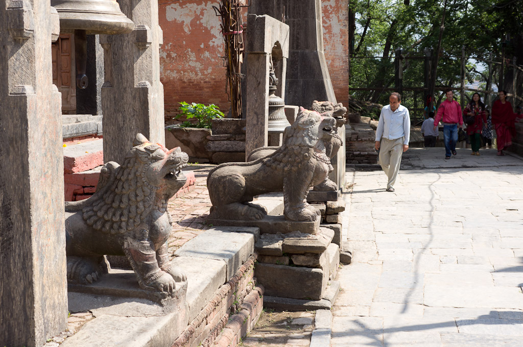 волшебные львы