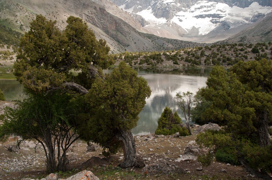 Арча на Куликалонах