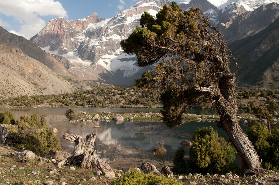 Стена Мария-Мирали