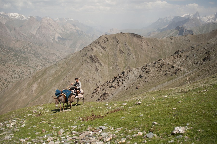 тропа на Лаудан ложный