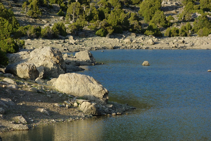 На берегу озера