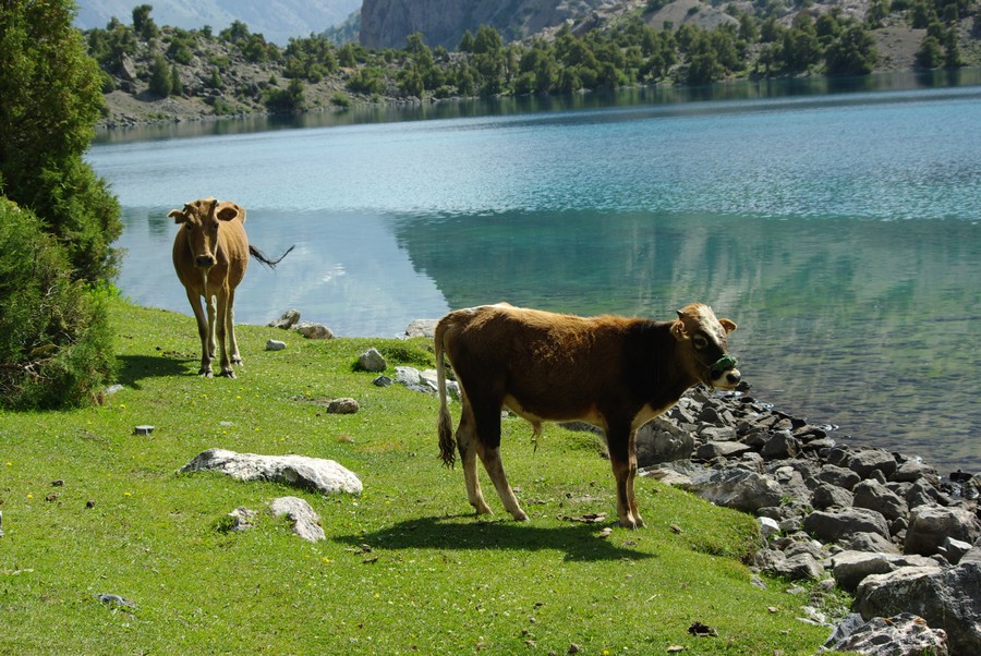 Алаудинские озёра