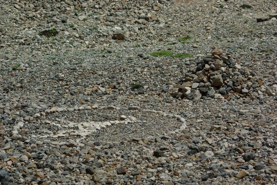 инопланетяне