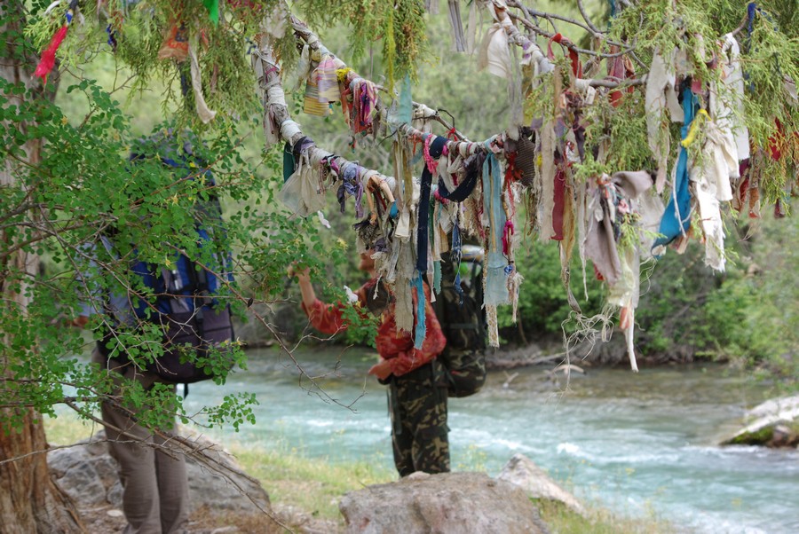 Святое дерево