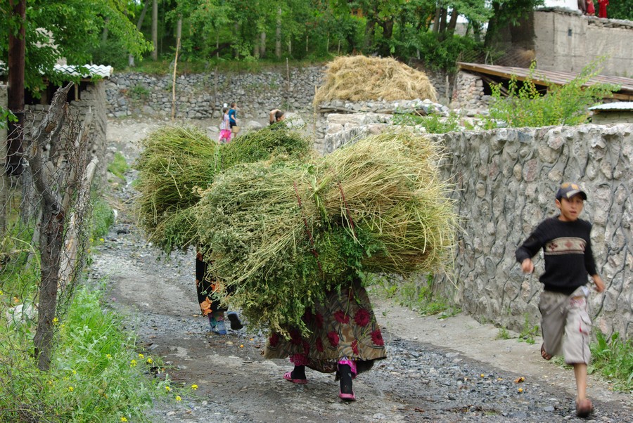 женщины несут сено