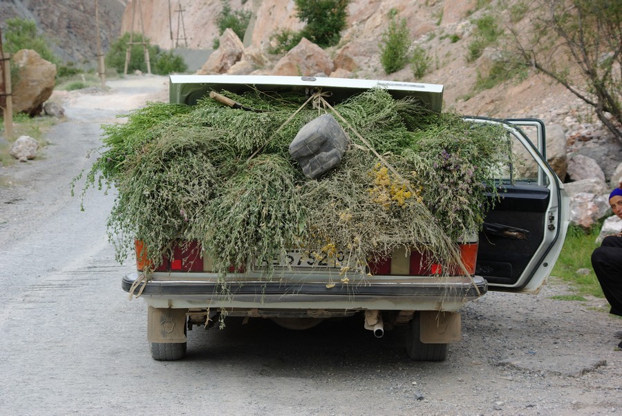 сено в багажнике