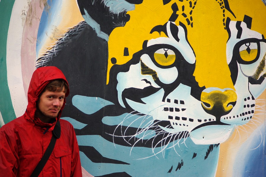 Грустный леопард