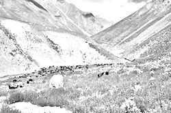 Главная страница сайта MojaTropa.ru Моя Тропа. Главная страница