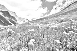 Моя Тропа. Главная страница