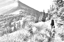 Моя Тропа. Главная страница