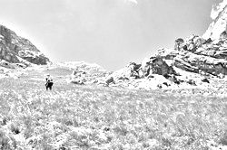 Моя Тропа. Главная страница