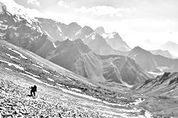 Моя Тропа. Главная страница