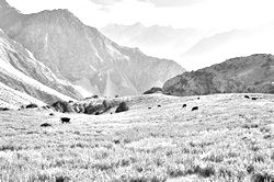 Моя Тропа. Главная страница