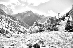 Моя Тропа. Главная страница