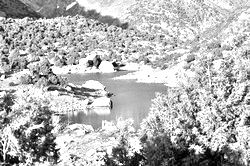 Моя Тропа. Главная страница