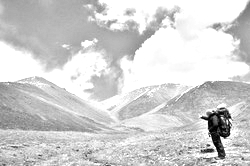 Моя Тропа. Главная страница