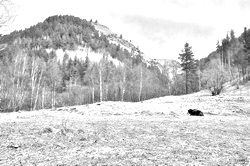 Главная страница сайта MojaTropa.ru Моя Тропа. Главная страница