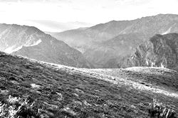 Моя Тропа. Главная страница