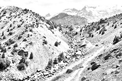 Моя Тропа. Главная страница