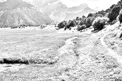 Главная страница сайта MojaTropa.ru Моя Тропа. Главная страница