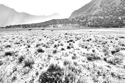 Моя Тропа. Главная страница