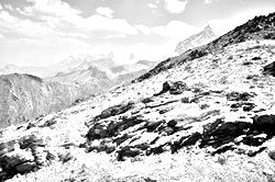 Моя Тропа. Главная страница