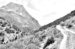 Моя Тропа. Главная страница