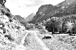 Моя Тропа. Главная страница